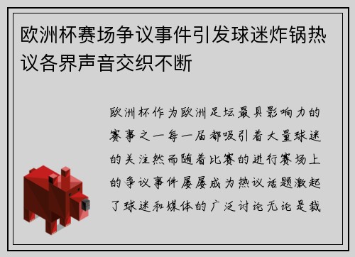 欧洲杯赛场争议事件引发球迷炸锅热议各界声音交织不断 欧洲杯赛场争议事件引发球迷炸锅热议各界声音交织不断